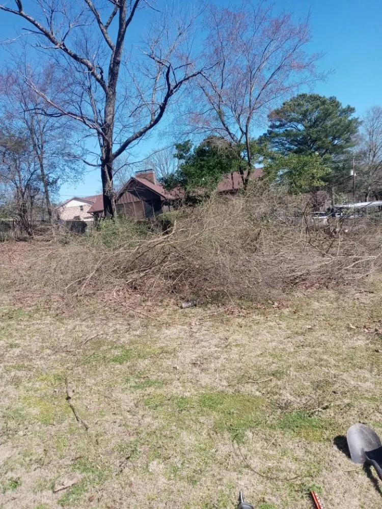 Reliable outdoor landscaping for outdoor upgrades across Mobile, AL - McCoy's Junk Removal Pressure Washing And Landscaping