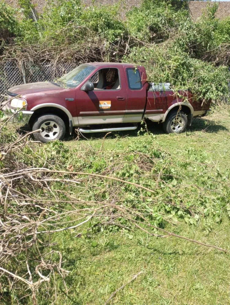 Expert yard cleanup service for beautiful yards in Halethorpe, MD by McCoy's Landscaping and Handyman Services