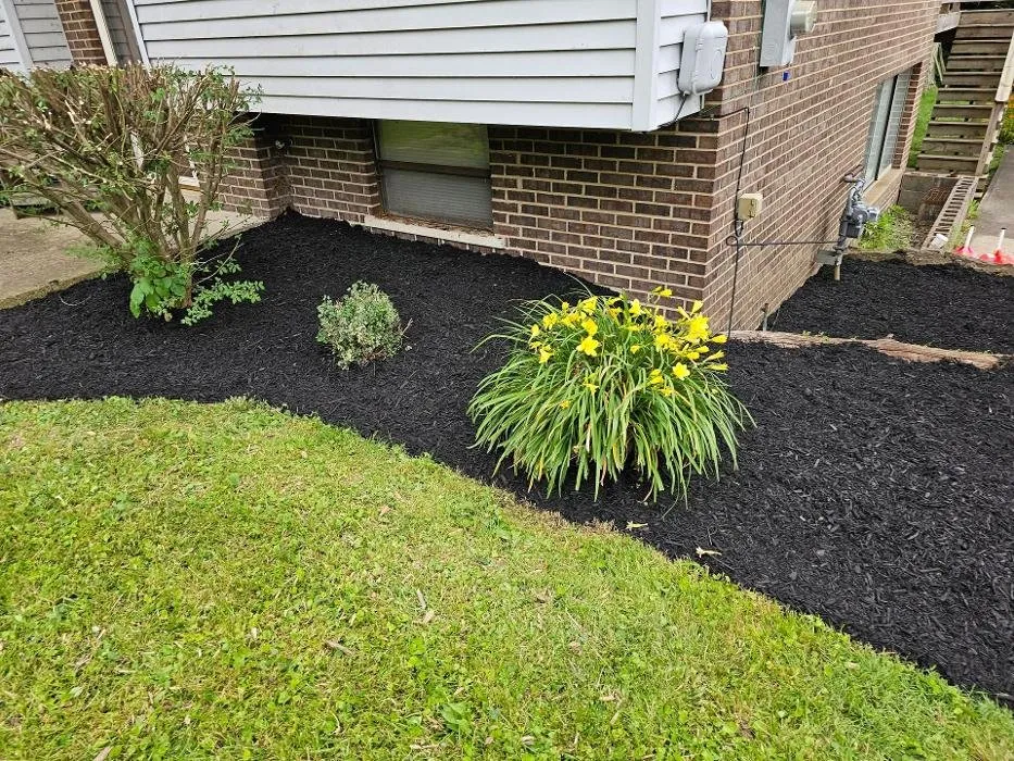 Custom residential landscaping for outdoor upgrades in Florence, KY by McCoy's Lawncare KY