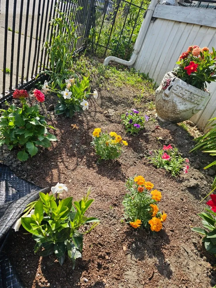 Professional outdoor landscaping for residential properties across Florence, KY - McCoy's Lawncare KY