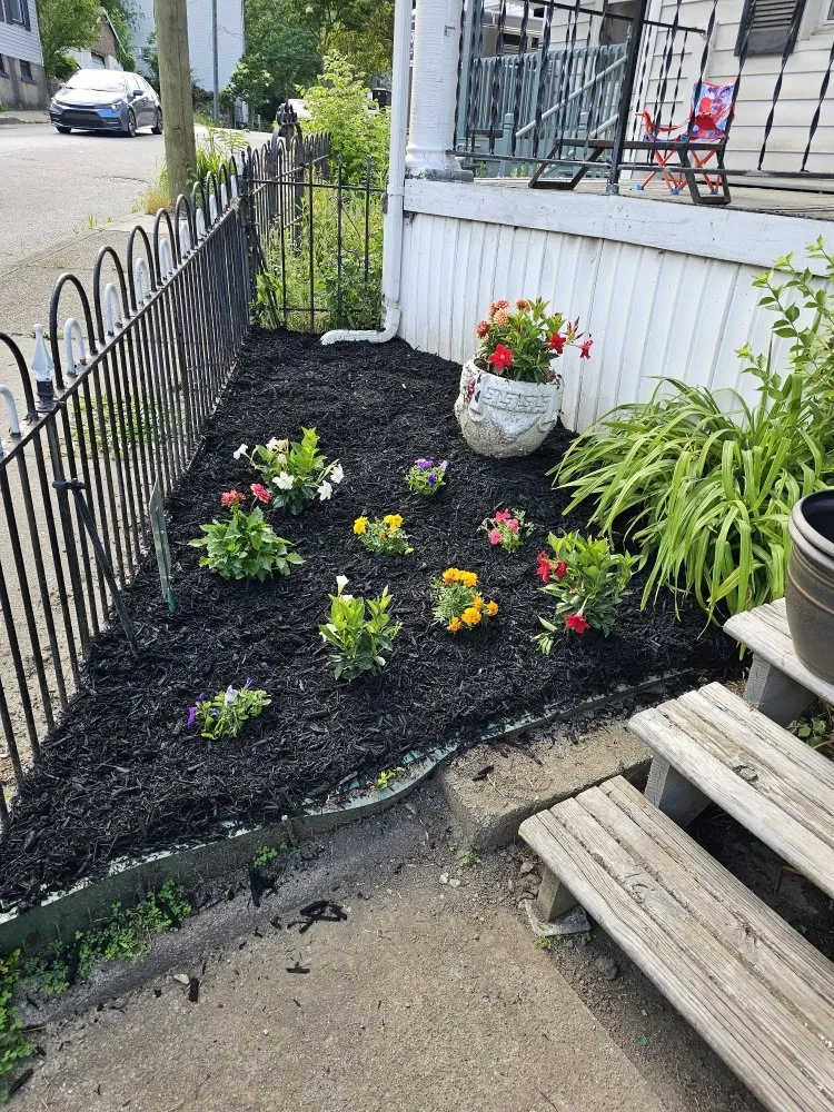 Affordable yard cleanup service in Florence, KY - McCoy's Lawncare KY