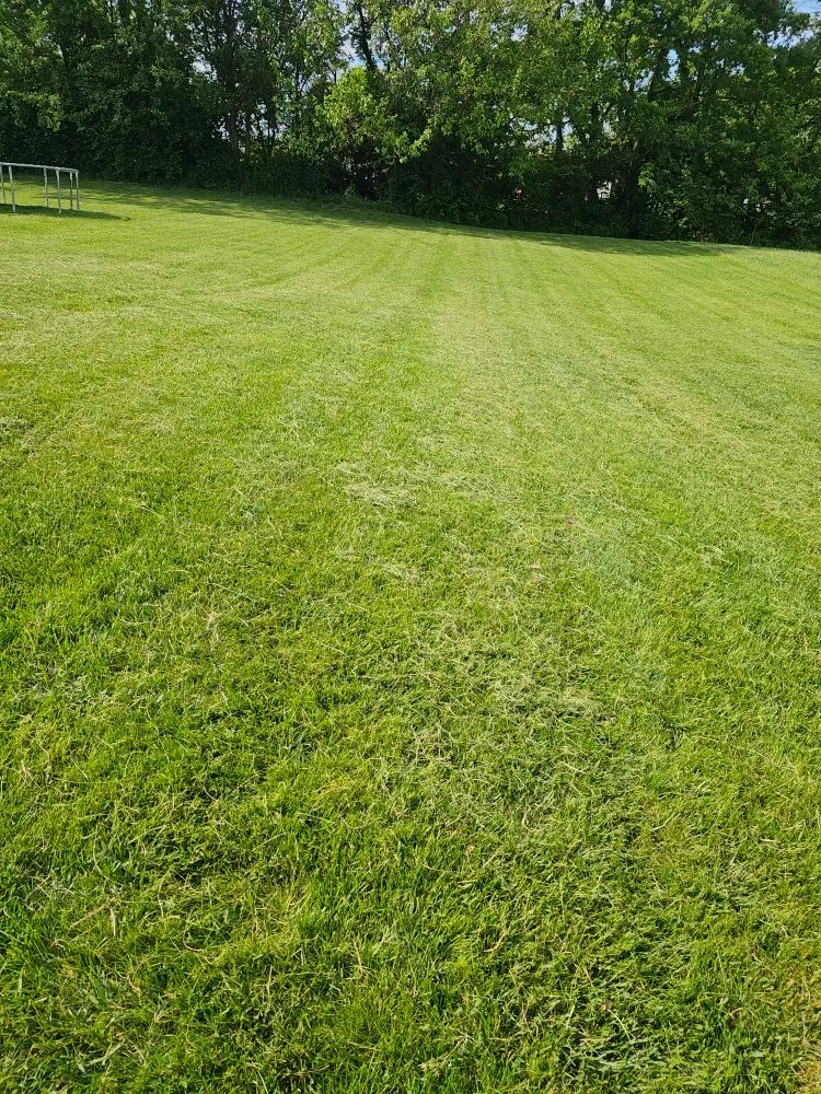 Expert landscape installation in Florence, KY - McCoy's Lawncare KY