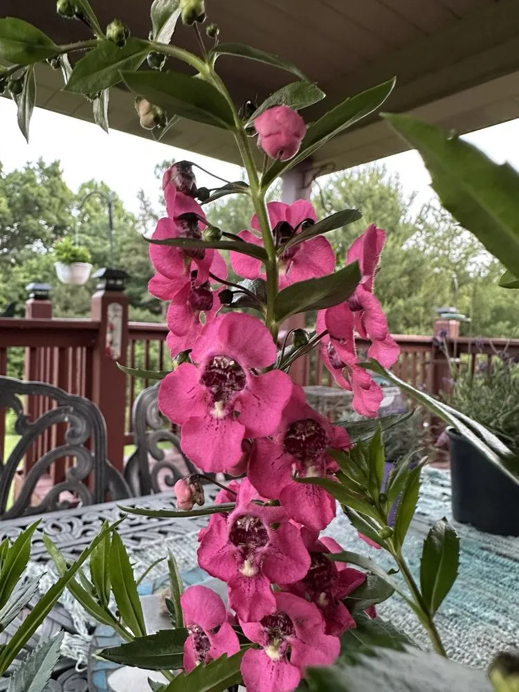 Affordable lawn mowing service in Charlestown, IN - McCoy's Nursery & Landscape