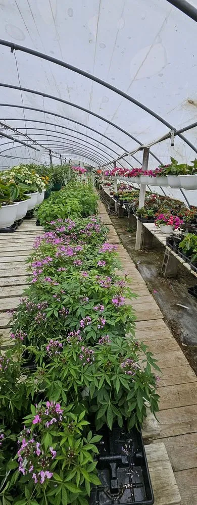 Expert landscaping services experts serving Charlestown, IN - McCoy's Nursery & Landscape