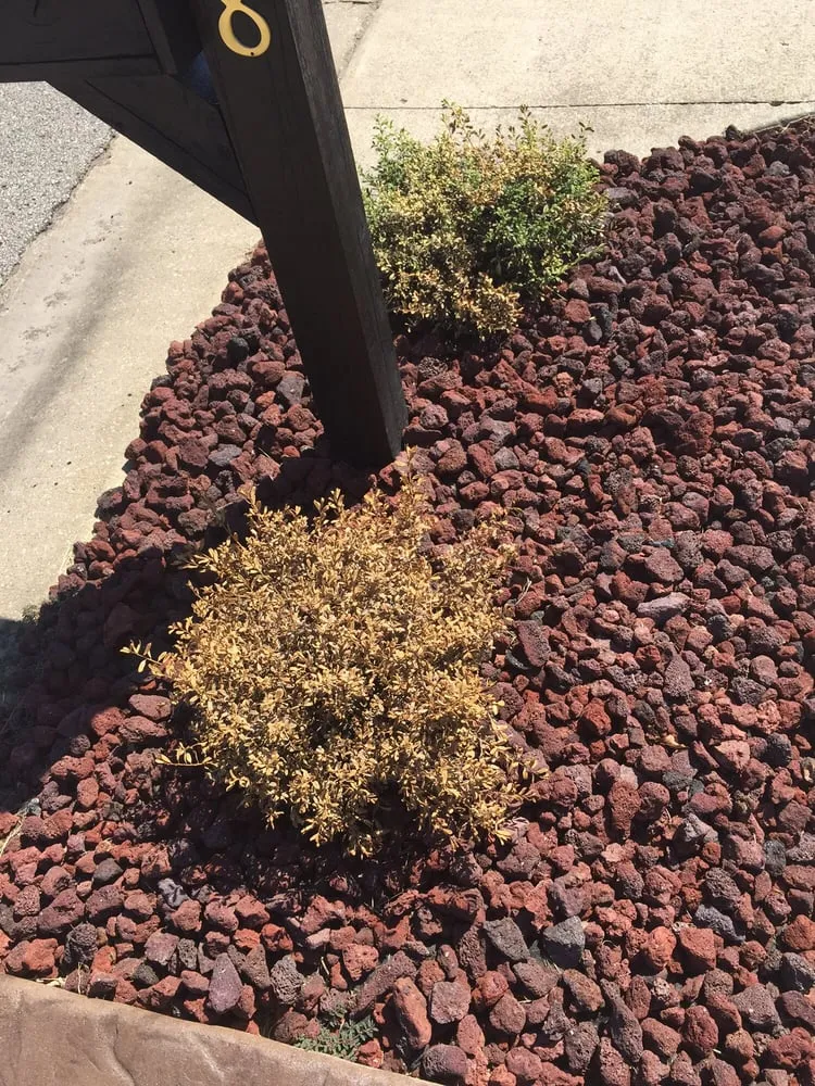 Custom outdoor landscaping experts serving Charlestown, IN - McCoy's Nursery & Landscape