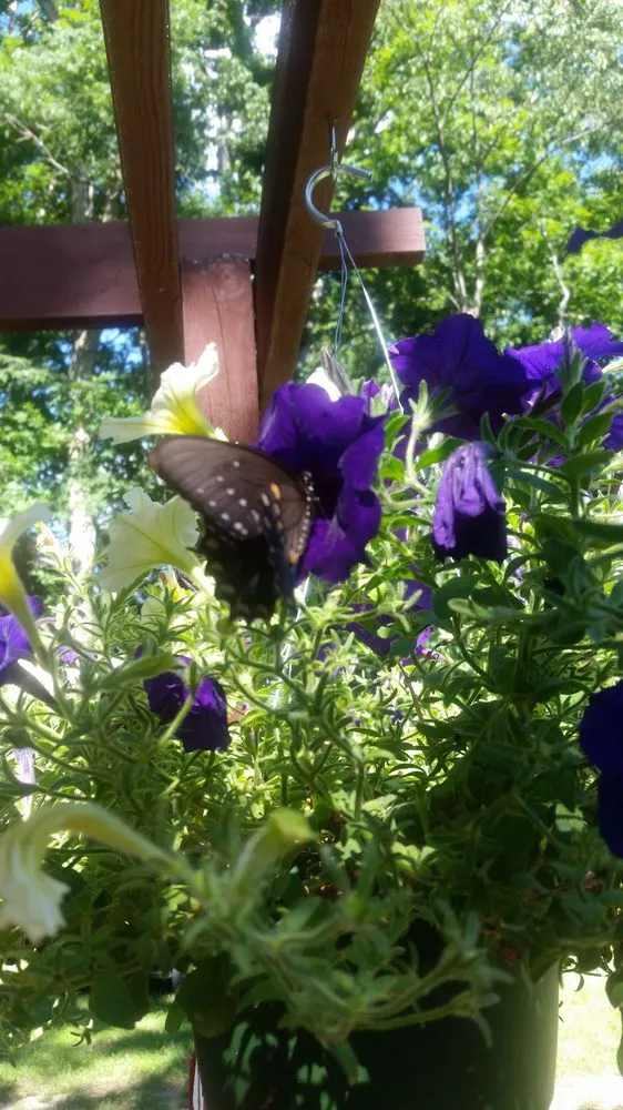 Professional yard maintenance experts serving Charlestown, IN - McCoy's Nursery & Landscape