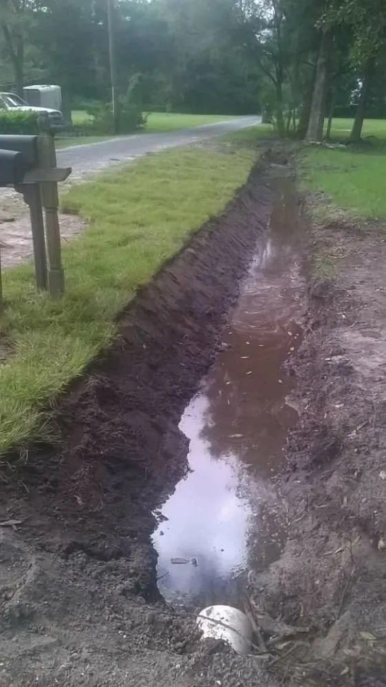 Top-rated residential landscaping for beautiful yards in Tampa, FL by Mccoy's Pressure washing & Landscaping