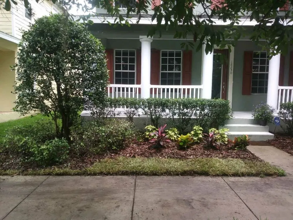 Expert yard maintenance for beautiful yards across Tampa, FL - Mccoy's Pressure washing & Landscaping