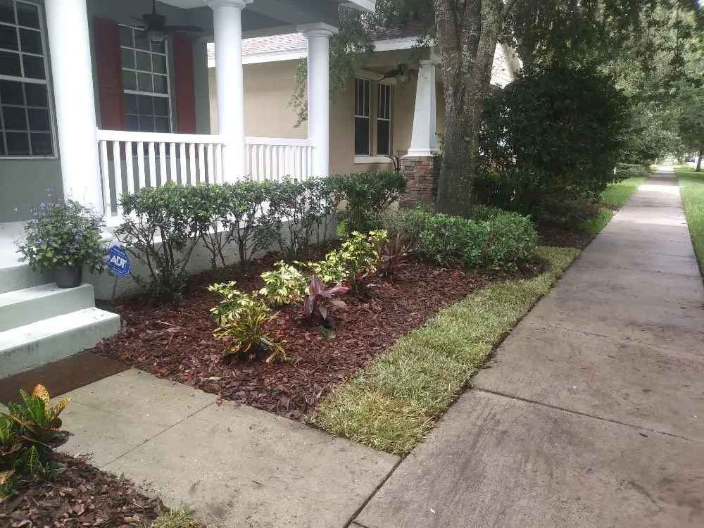 Trusted residential landscaping for year-round maintenance across Tampa, FL - Mccoy's Pressure washing & Landscaping
