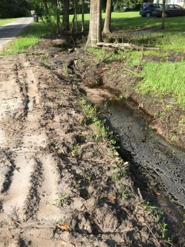 Affordable landscaping services in Tampa, FL by Mccoy's Pressure washing & Landscaping