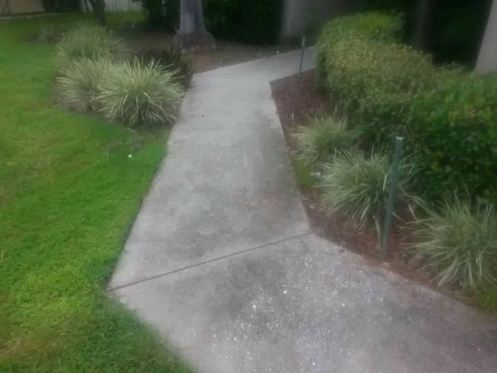 Top-rated outdoor landscaping experts serving Tampa, FL - Mccoy's Pressure washing & Landscaping
