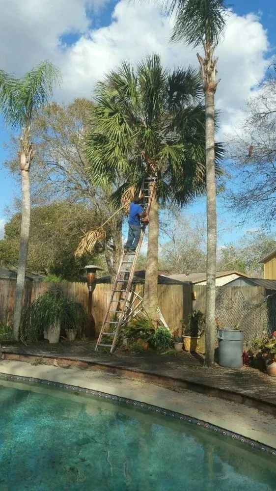 Custom lawn mowing service in Tampa, FL by Mccoy's Pressure washing & Landscaping