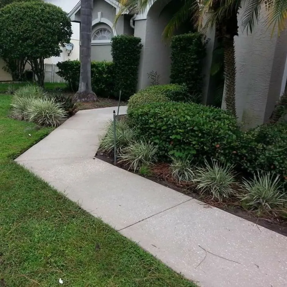 Affordable residential landscaping with custom design across Tampa, FL - Mccoy's Pressure washing & Landscaping