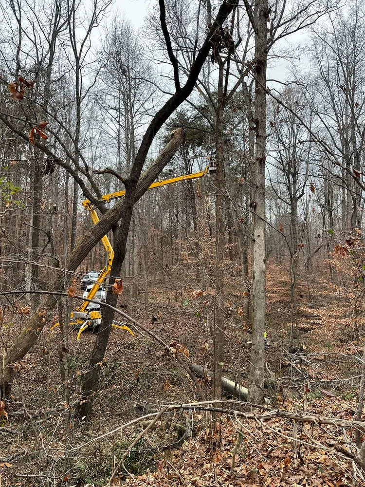 Custom landscaping services for year-round maintenance in Statesville, NC by McCoy's Services