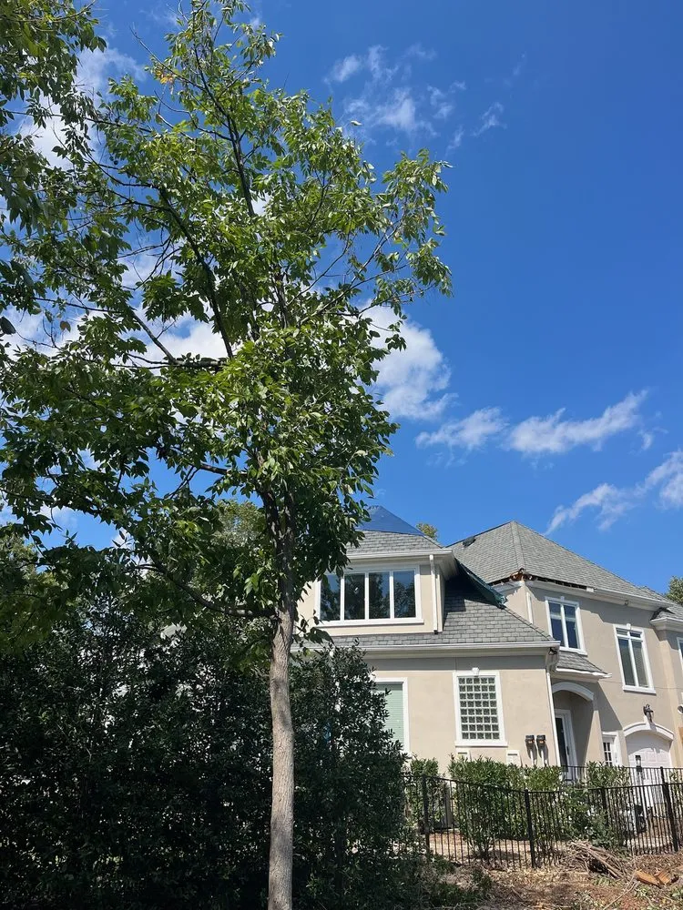 Trusted residential landscaping in Statesville, NC - McCoy's Services