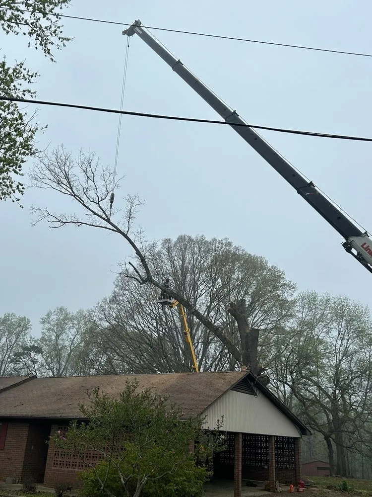 Professional residential landscaping in Statesville, NC - McCoy's Services