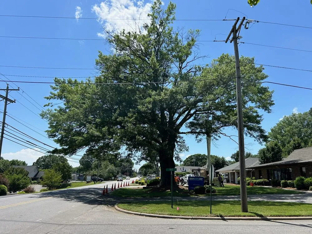 Custom garden landscaping for year-round maintenance across Statesville, NC - McCoy's Services