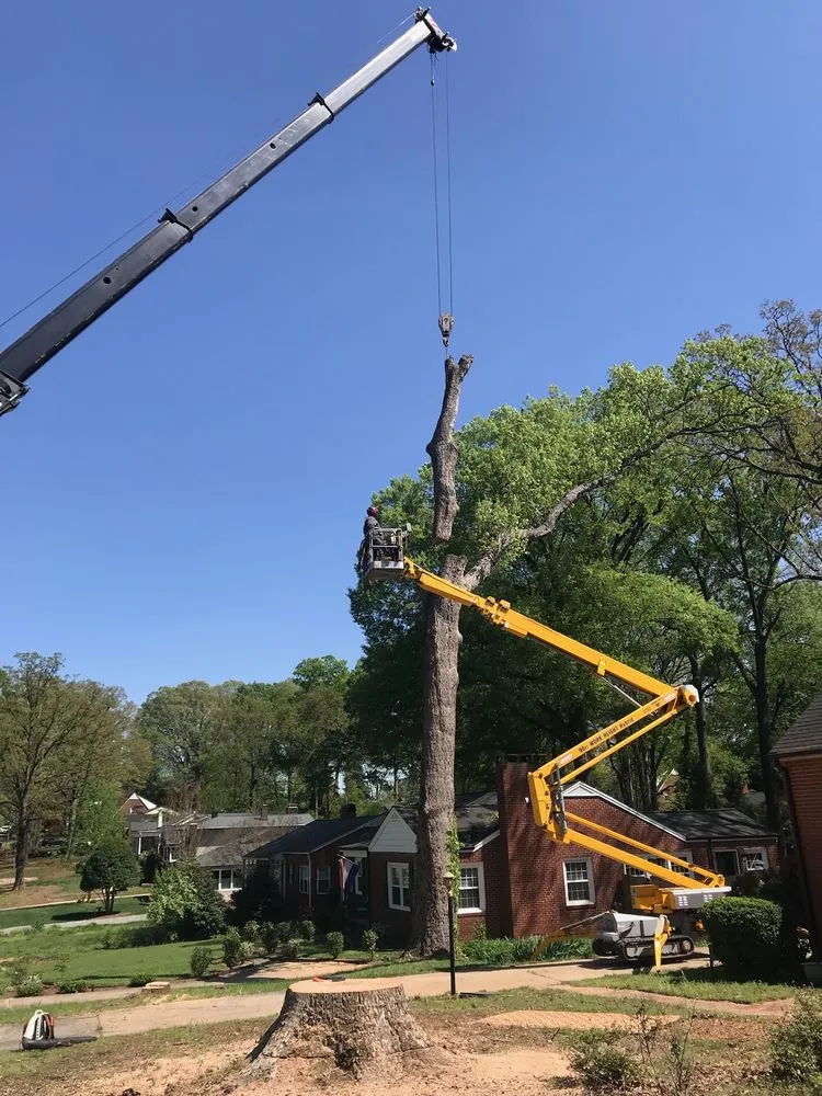 Trusted outdoor landscaping experts serving Statesville, NC - McCoy's Services