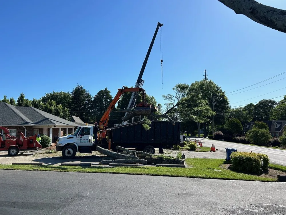 Custom yard maintenance in Statesville, NC by McCoy's Services