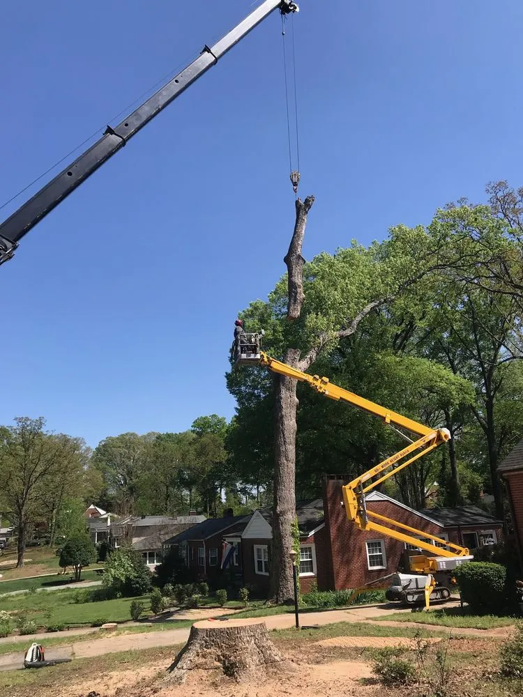 Trusted outdoor landscaping experts serving Statesville, NC - McCoy's Services