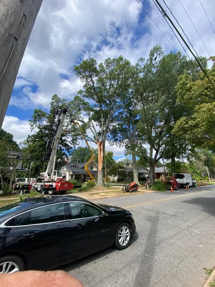 Reliable residential landscaping in Statesville, NC by McCoy's Services