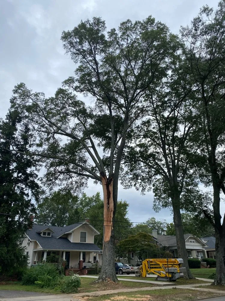 Custom residential landscaping experts serving Statesville, NC - McCoy's Services