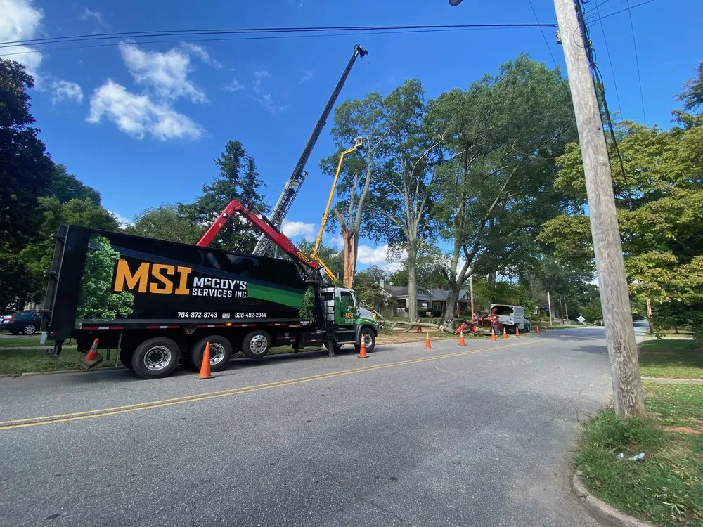 Local yard maintenance in Statesville, NC by McCoy's Services