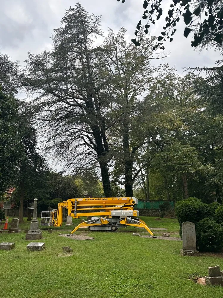 Reliable residential landscaping in Statesville, NC by McCoy's Services