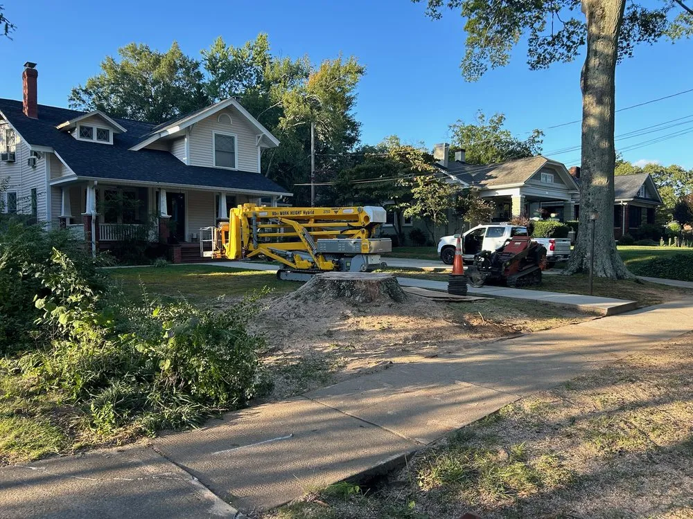 Professional lawn mowing service with custom design in Statesville, NC by McCoy's Services