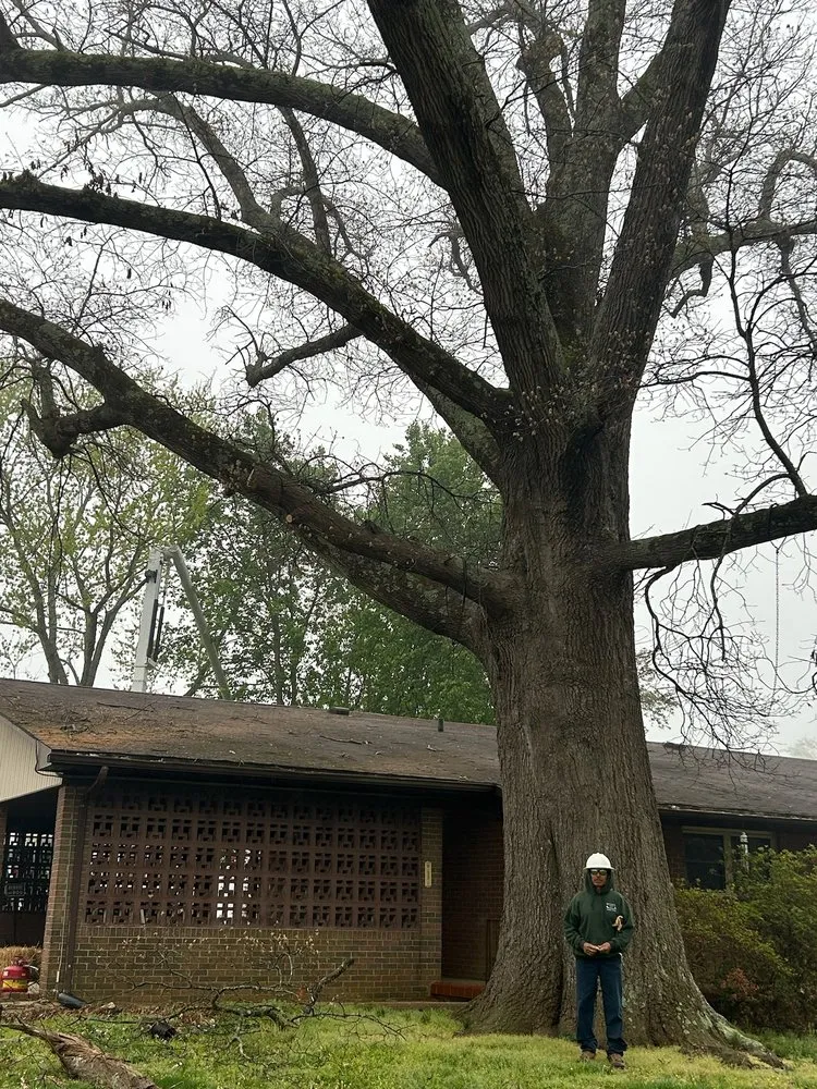 Custom outdoor landscaping for beautiful yards in Statesville, NC by McCoy's Services