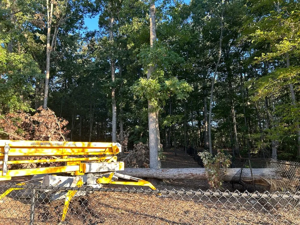 Expert garden landscaping for beautiful yards in Statesville, NC by McCoy's Services