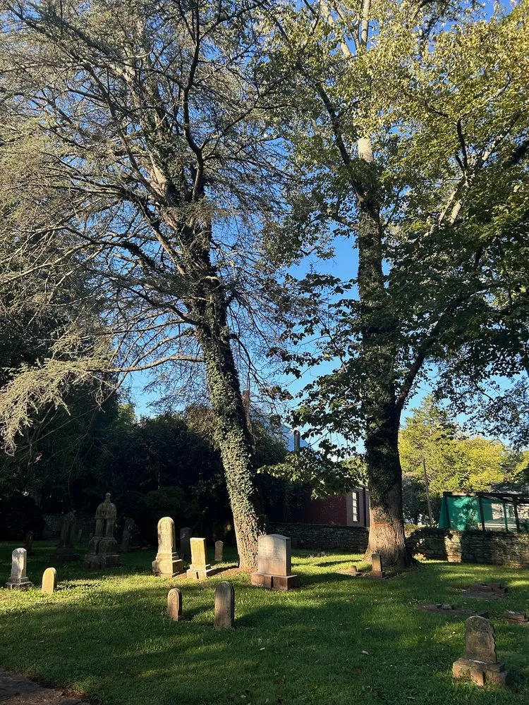 Trusted residential landscaping for beautiful yards across Statesville, NC - McCoy's Services