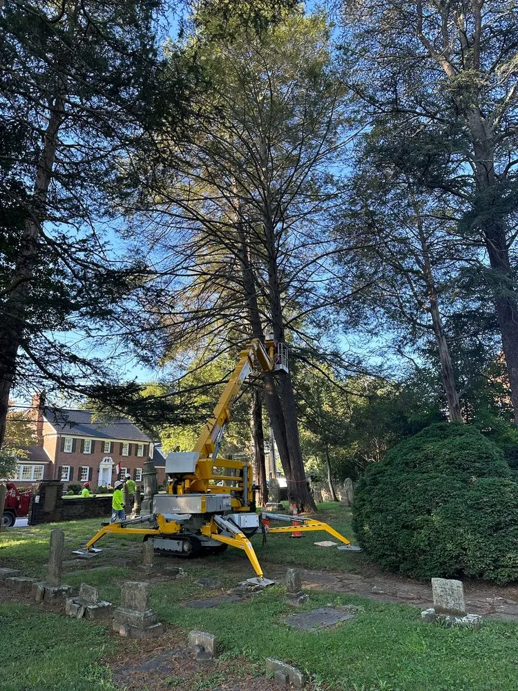 Expert residential landscaping for residential properties across Statesville, NC - McCoy's Services