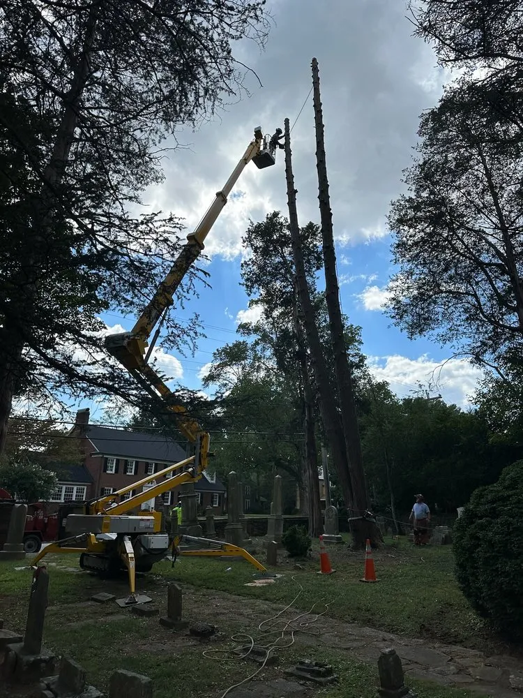 Affordable garden landscaping in Statesville, NC by McCoy's Services