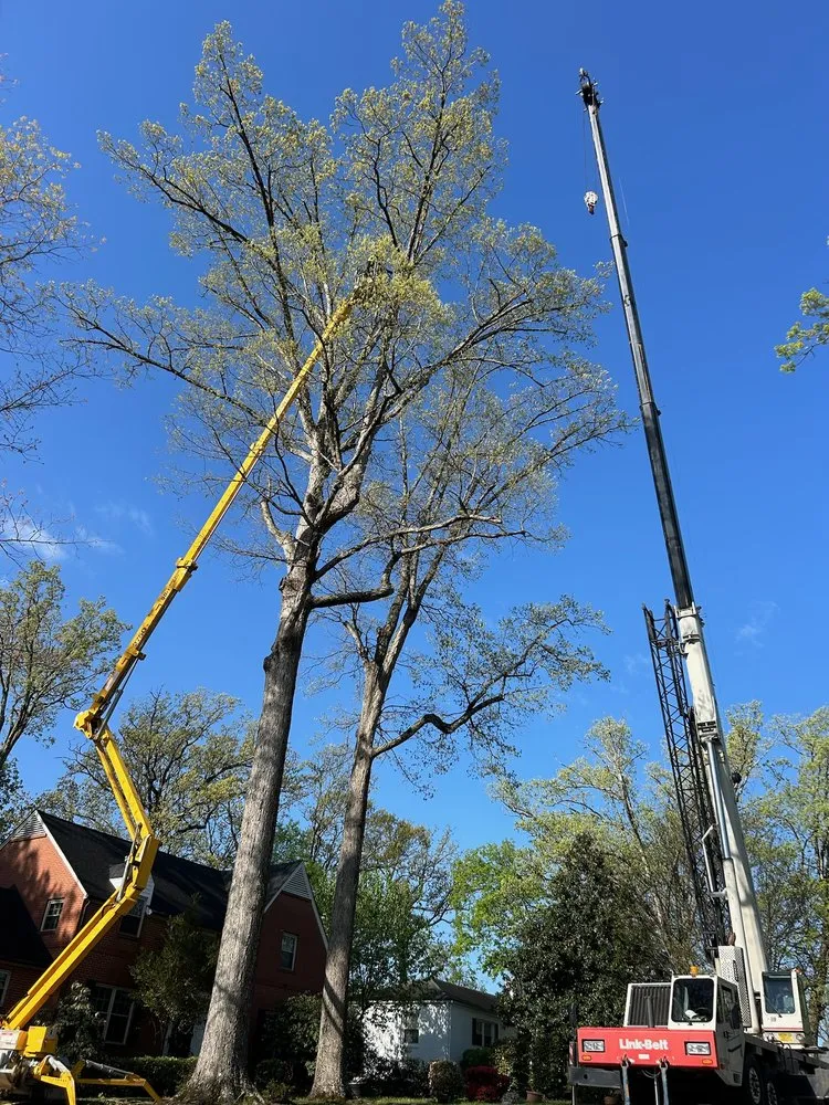 Affordable lawn care service experts serving Statesville, NC - McCoy's Services