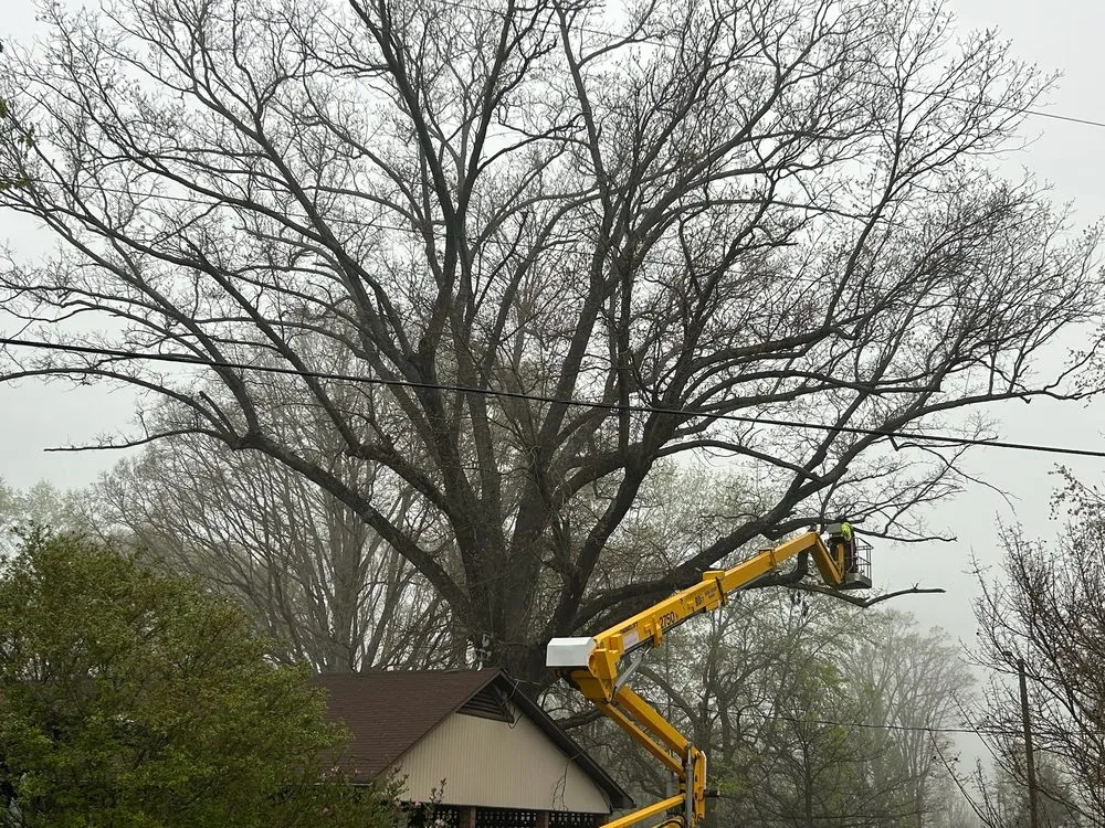 Expert garden landscaping in Statesville, NC - McCoy's Services