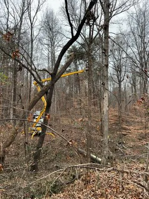 McCoy's Services Logo