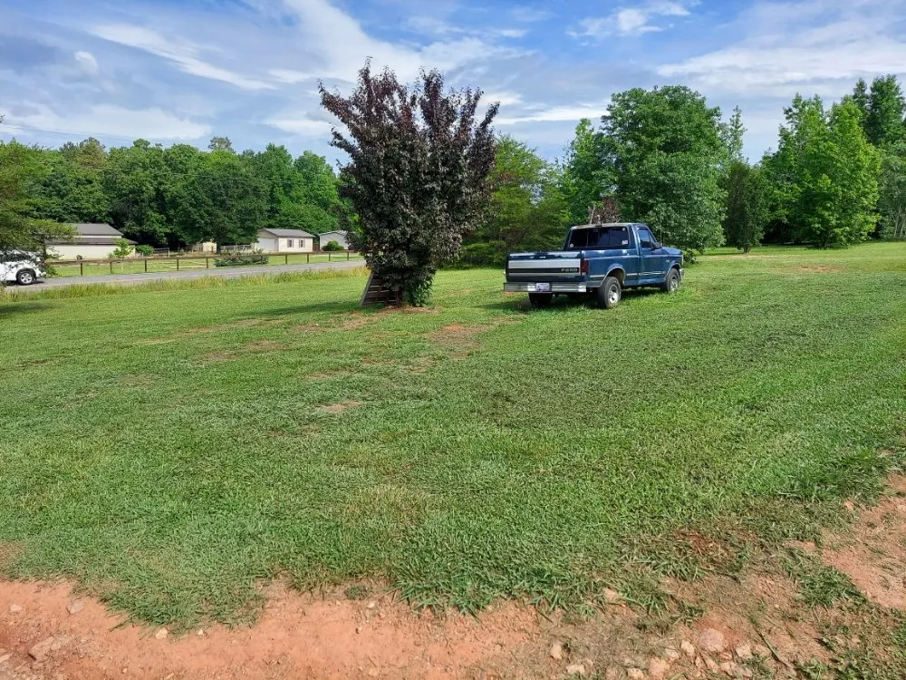 Professional yard cleanup service for beautiful yards in Shelby, NC by Mccoys