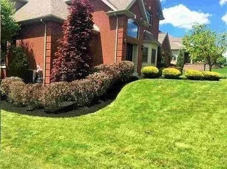 Trusted landscaping services in Monaca, PA by McCreary's Lawn & Landscaping