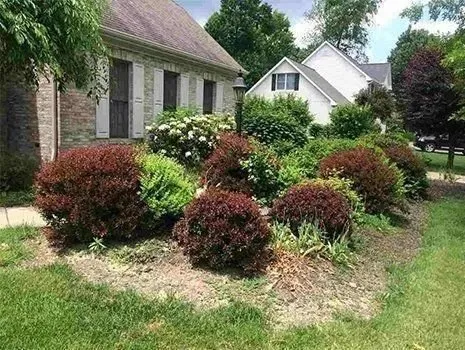 Trusted residential landscaping experts serving Monaca, PA - McCreary's Lawn & Landscaping