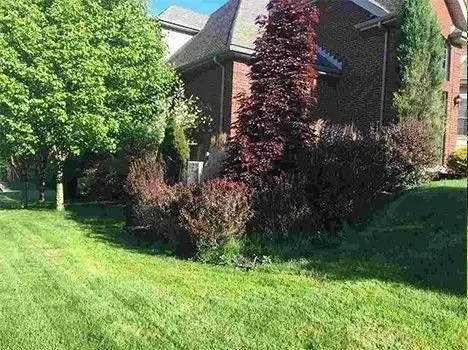 Custom lawn mowing service in Monaca, PA by McCreary's Lawn & Landscaping