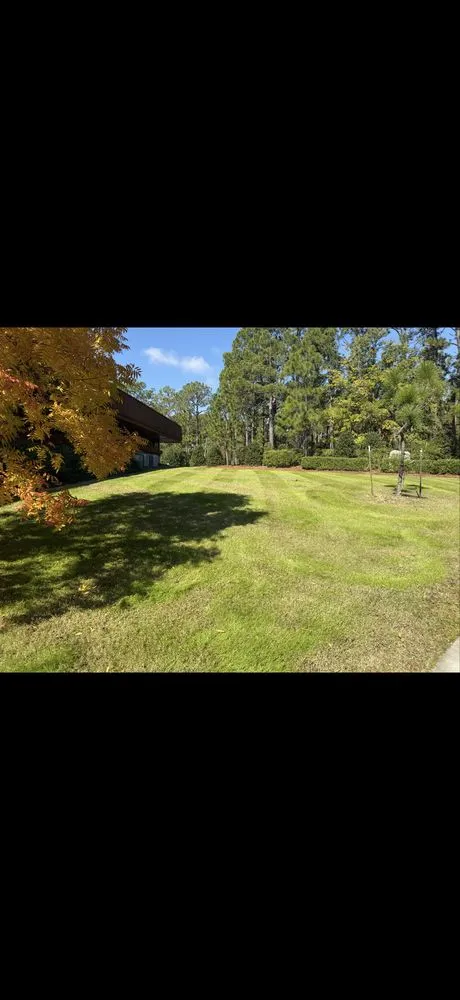 Custom yard cleanup service for homes in Southern Pines, NC by McCrimmon Landscaping & Grading