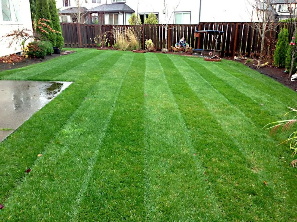 Professional yard cleanup service experts serving Carter Lake, IA - McCuen Building Services