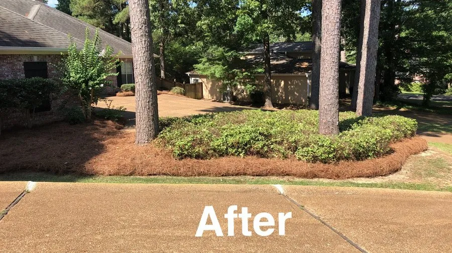 Reliable garden landscaping for beautiful yards in Madison, MS by McCulloch Lawn & Property Services