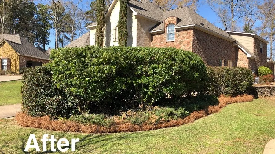 Reliable landscape installation experts serving Madison, MS - McCulloch Lawn & Property Services