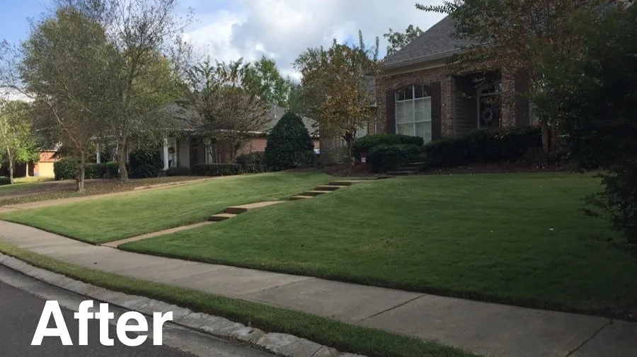 Top-rated outdoor landscaping for homes across Madison, MS - McCulloch Lawn & Property Services