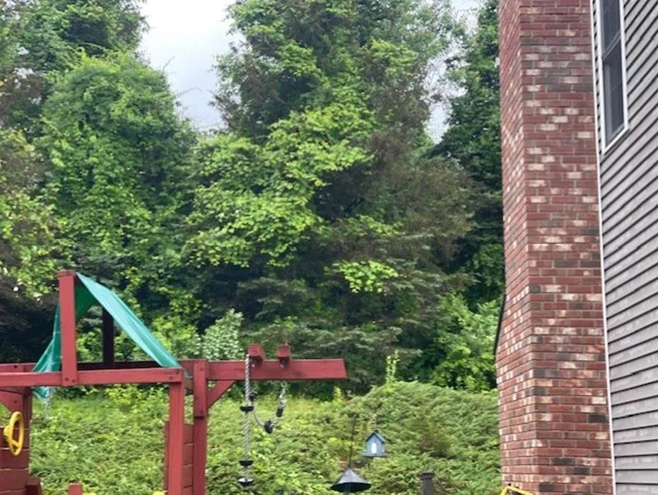 Local landscaping services in Newtown, CT by Mcculloch Property Maintenance