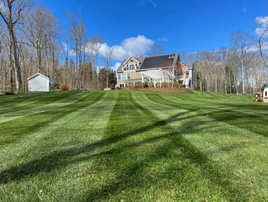 Local yard cleanup service in Newtown, CT by Mcculloch Property Maintenance