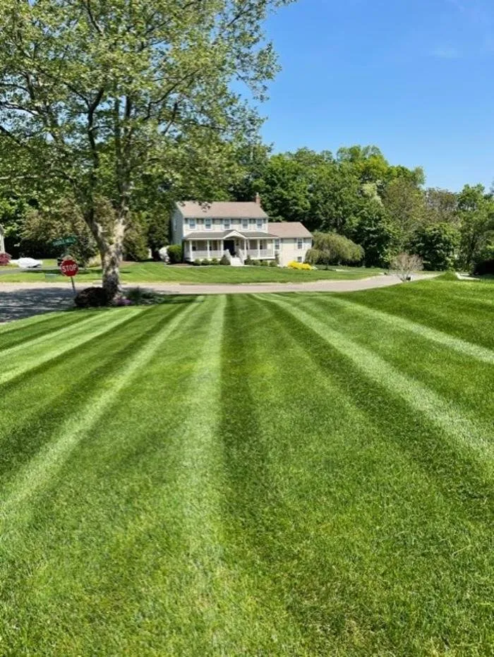 Custom yard cleanup service experts serving Newtown, CT - Mcculloch Property Maintenance
