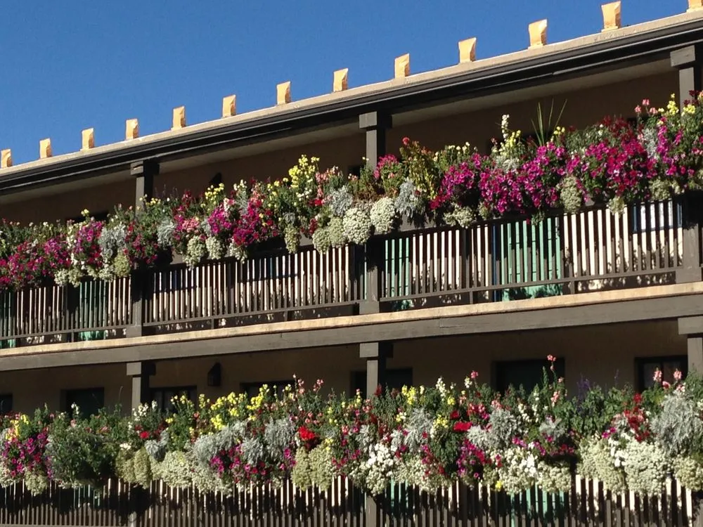 Top-rated yard maintenance with custom design across Santa Fe, NM - McCumber Fine Gardens